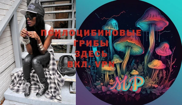 мдпв Инта