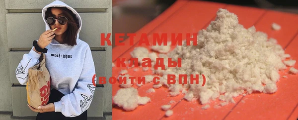 шишки Инсар
