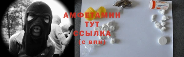 шишки Инсар