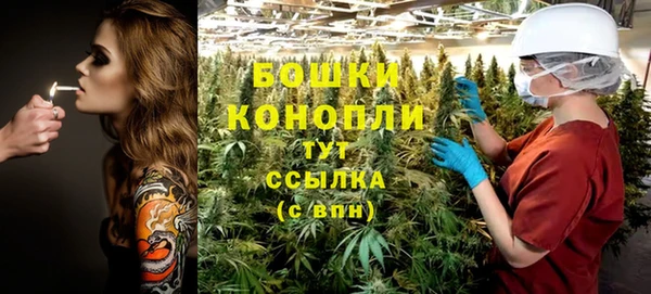 мдпв Инта