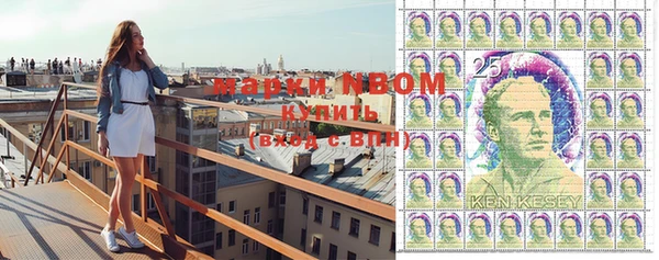 шишки Инсар