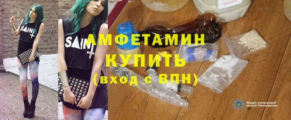 шишки Инсар