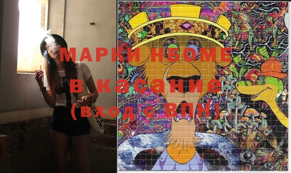 шишки Инсар