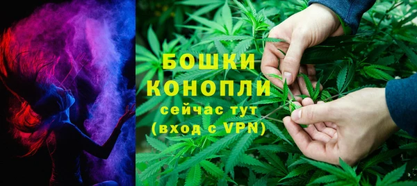 шишки Инсар
