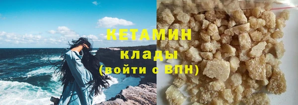 шишки Инсар