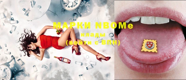 шишки Инсар