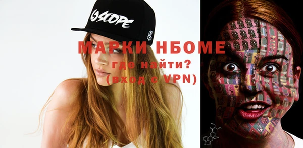 шишки Инсар