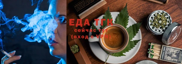 мдпв Инта