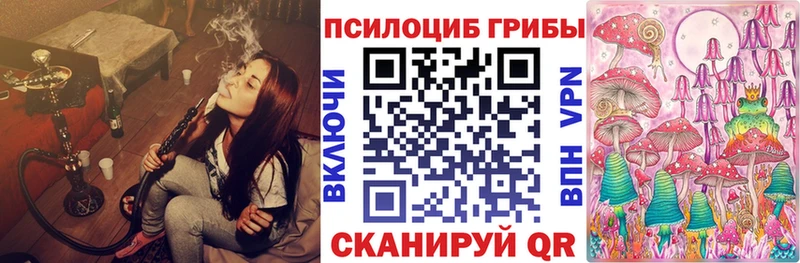 купить  цена  Нахабино  Галлюциногенные грибы прущие грибы 